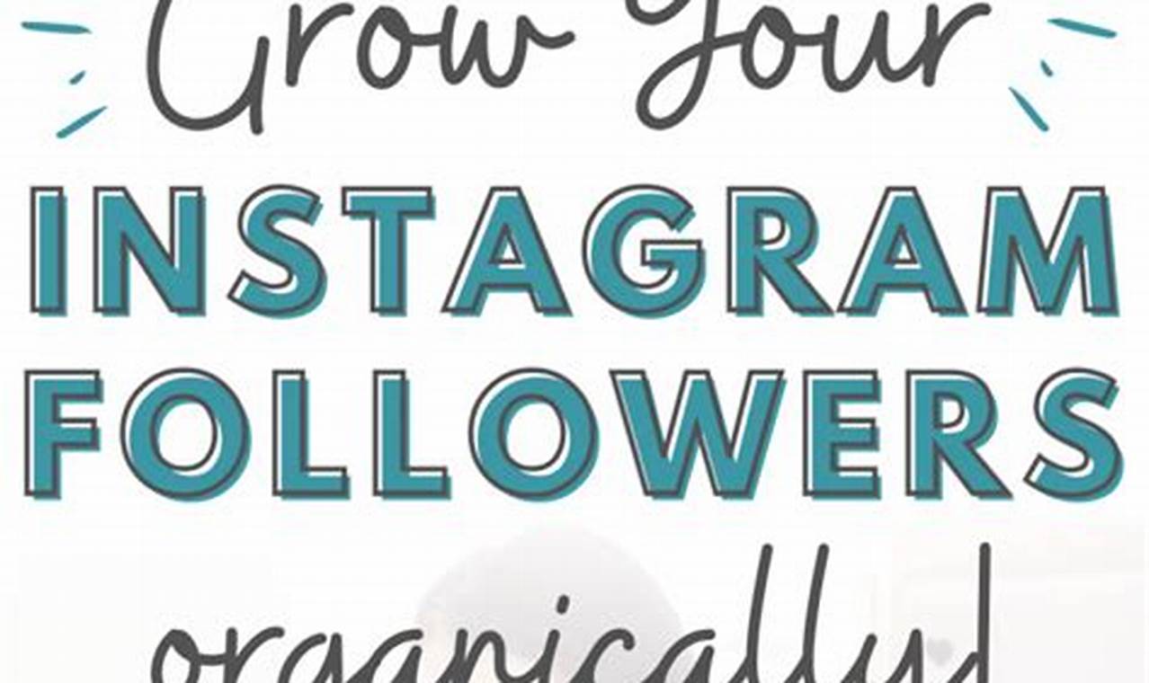 Ridwan Tele's Guide: Grow Instagram Followers Organically