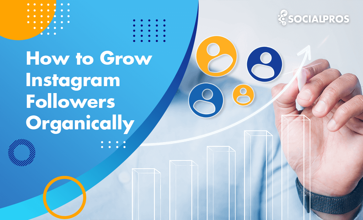 How To Grow Instagram Followers Organically [The Best Guide In 2024