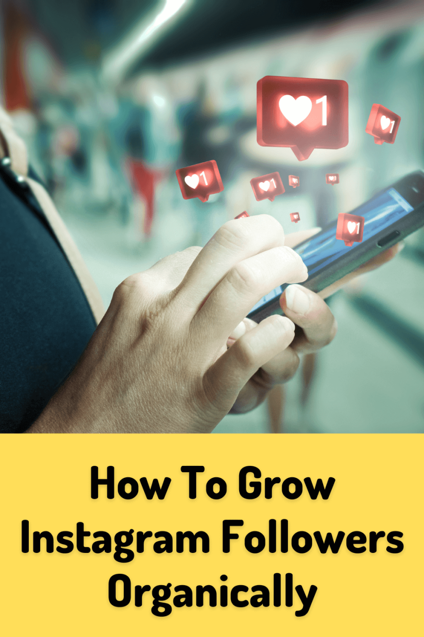 How to grow Instagram followers organically